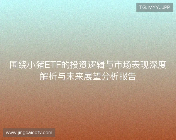 围绕小猪ETF的投资逻辑与市场表现深度解析与未来展望分析报告